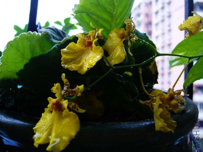 ��Ҫ���ܵ�������