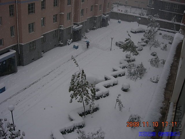 92.jpg