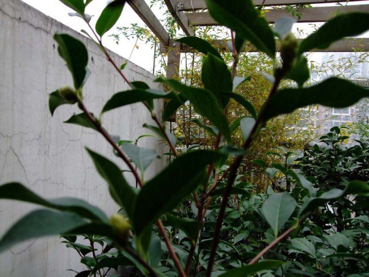 ��Ƭ09-11-9f 03311.jpg