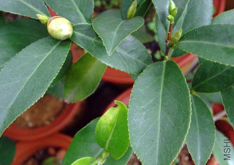 ������ (ŭ��)09-11-11f (1).jpg