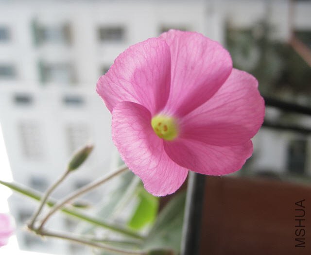 2009-11-05 ���.jpg