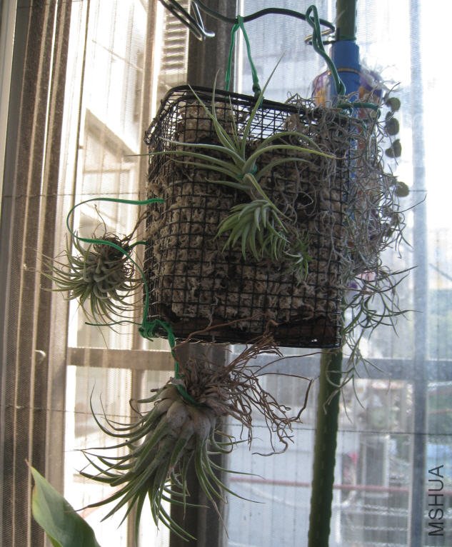 2009-11-09 ����Ŀշ�.jpg