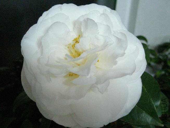 PB113682.JPG