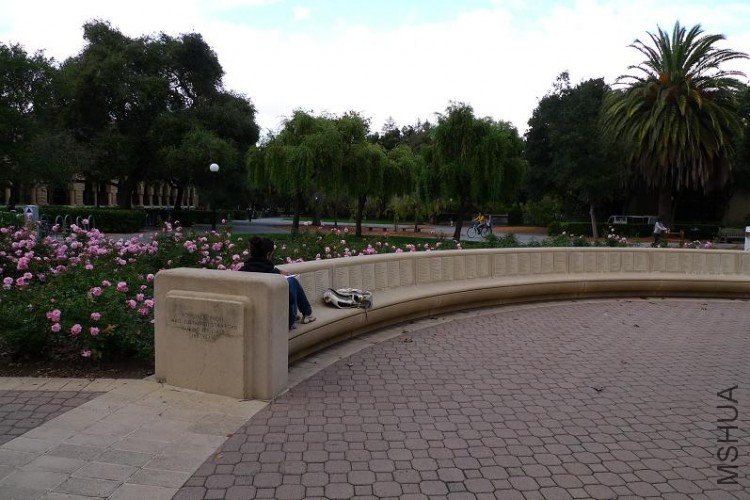 P1010169.JPG