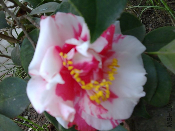 nEO_IMG_ͼ��017.jpg