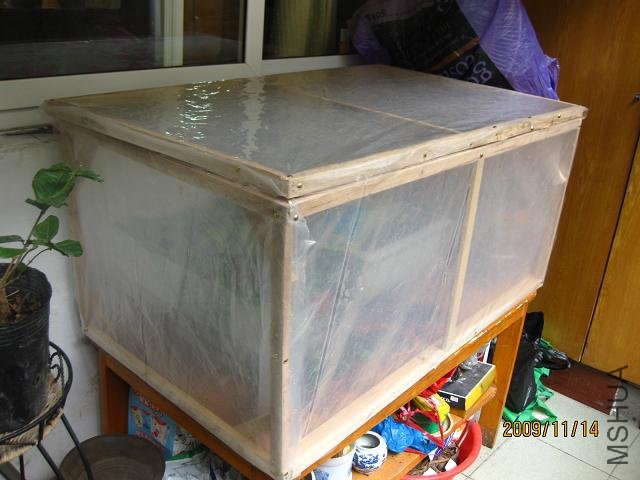 ����Ҳ��˫��