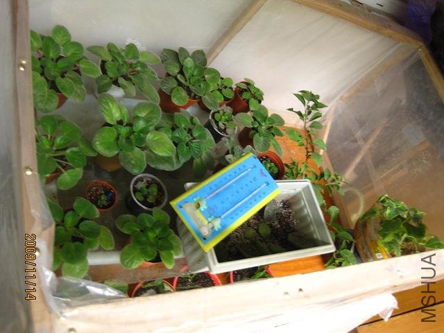 ��С18�������������֣����˰���Ҳû����