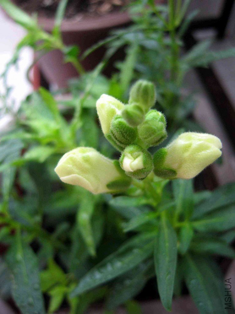 ����ݵĻ��Ƕ�