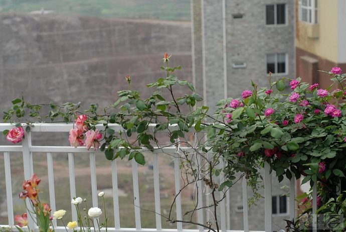 20080410_3e89a9d96a069ee00509TJD2c4evFMoD.jpg