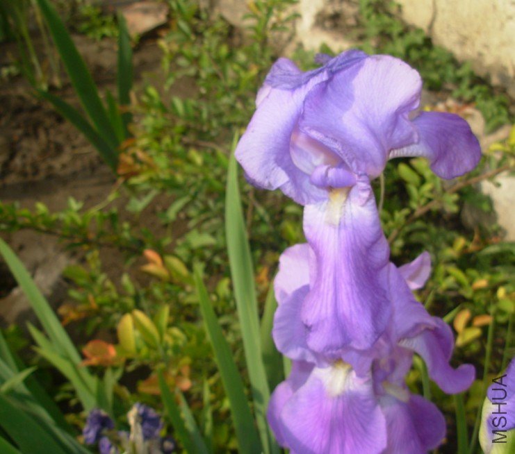 19.jpg