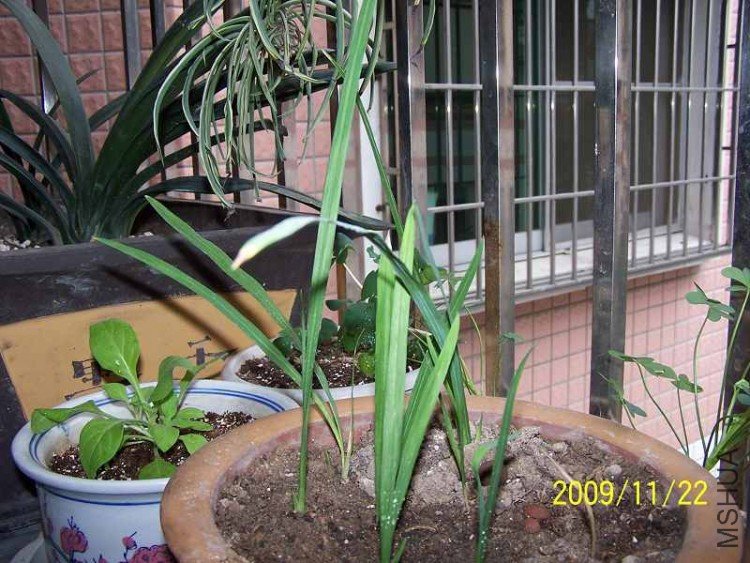 100_0444.jpg