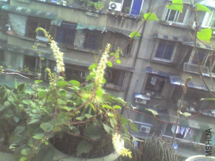 �Լ����Լ��̴���