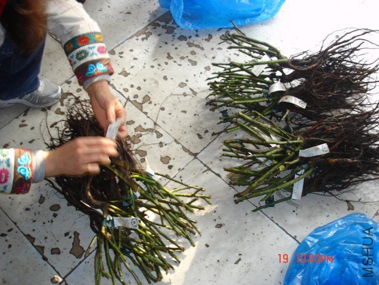 ��Ƭ2009,11.21 043.jpg