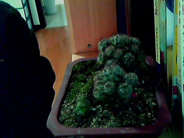 ͼƬ 006.jpg