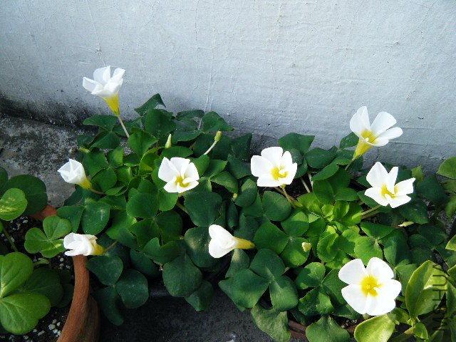 2���ܽ��...