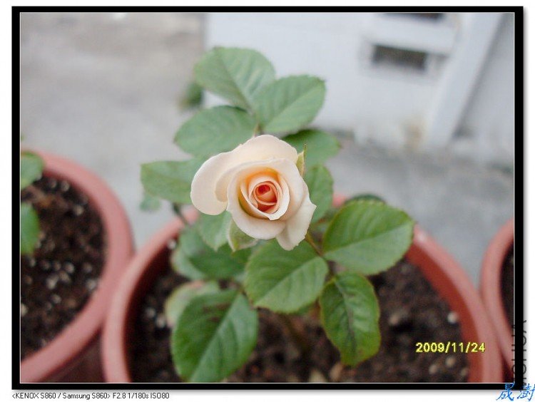 SDC12370_nEO_IMG.jpg