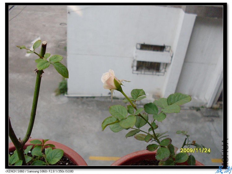 SDC12378_nEO_IMG.jpg