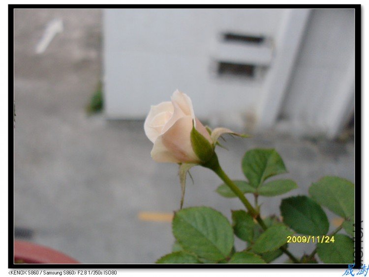 SDC12375_nEO_IMG.jpg