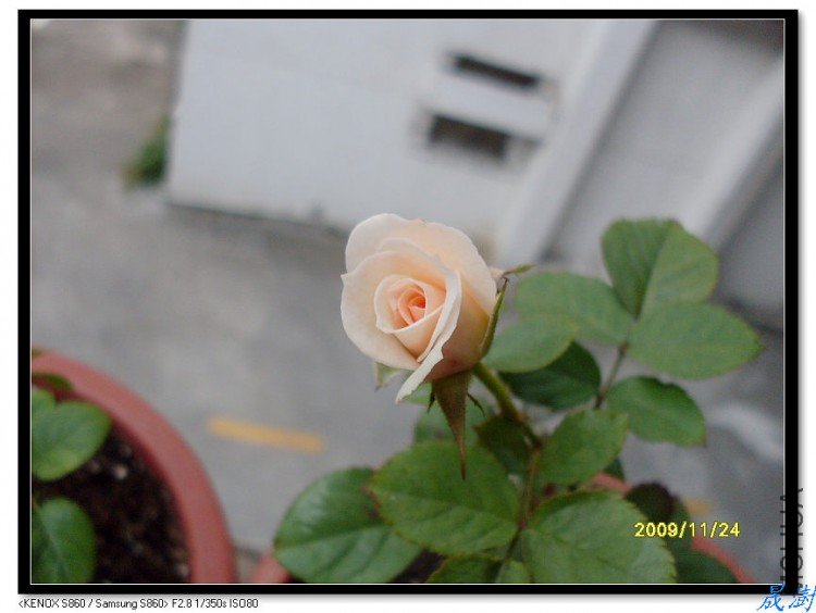 SDC12374_nEO_IMG.jpg
