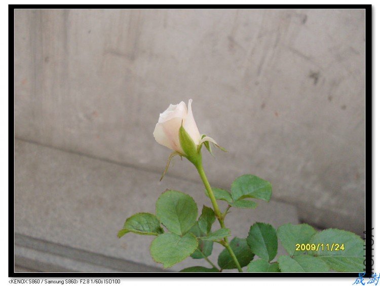SDC12390_nEO_IMG.jpg