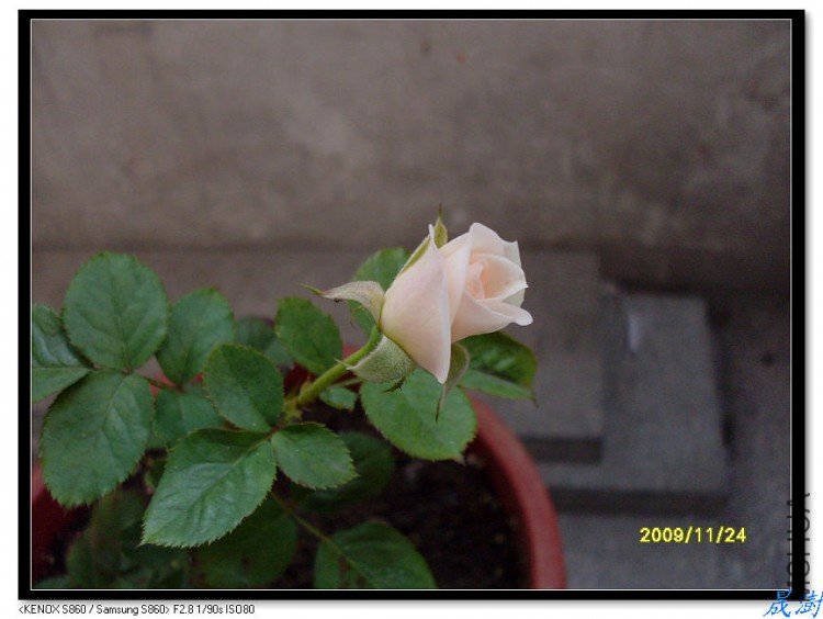 SDC12388_nEO_IMG.jpg
