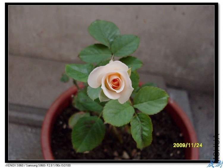 SDC12386_nEO_IMG.jpg