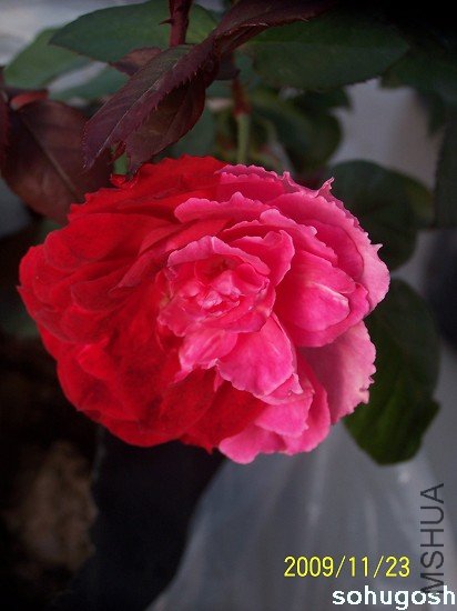 100_6270.jpg