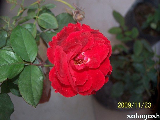 100_6274.jpg