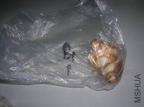 ������С DSCN3031.JPG