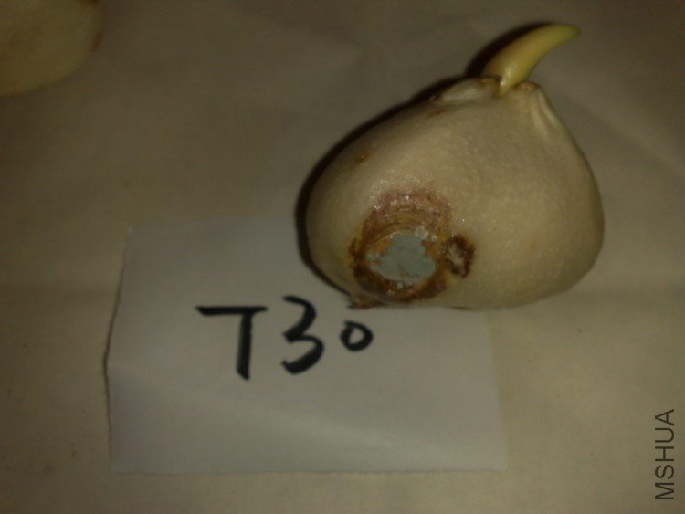 �п�5�������ù��Ƚϴ�ϣ��û��̫������