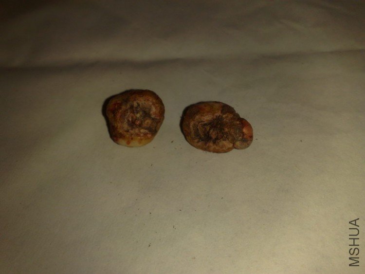 ���װٺ������������