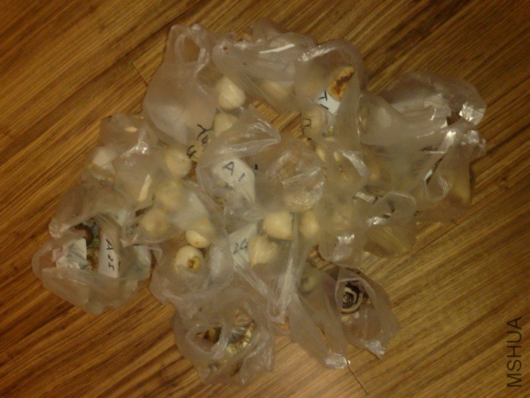 50���򣬺ô�һ��