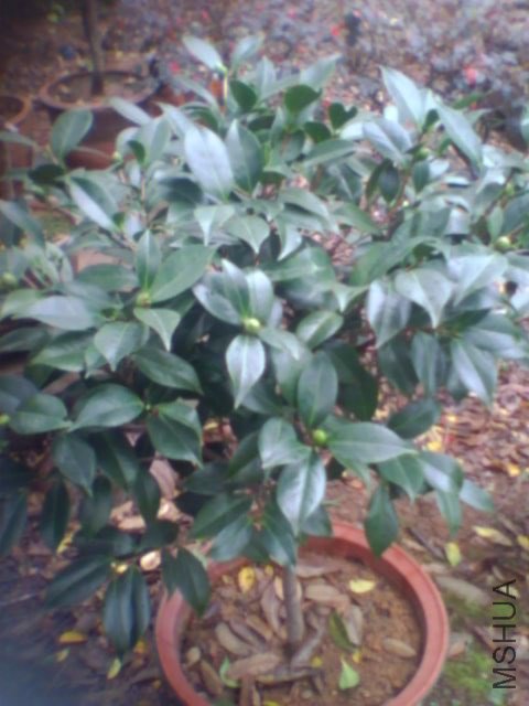 ���Ϸ���ͬһ��