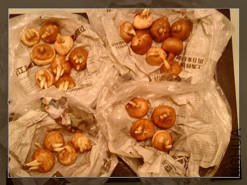 ���컨����