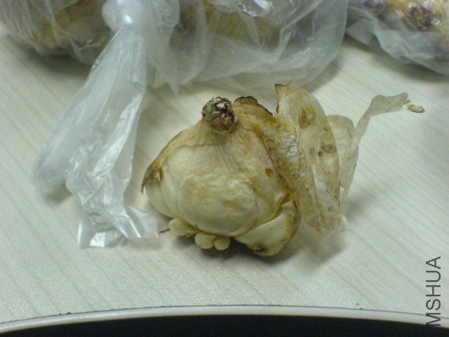 �ϰ벿������