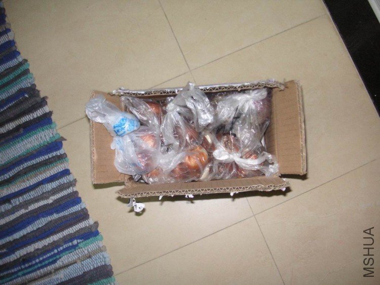 ������С PICT5785.JPG