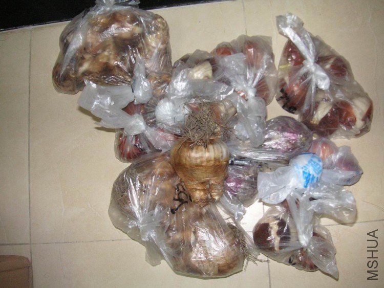 ������С PICT5786.JPG