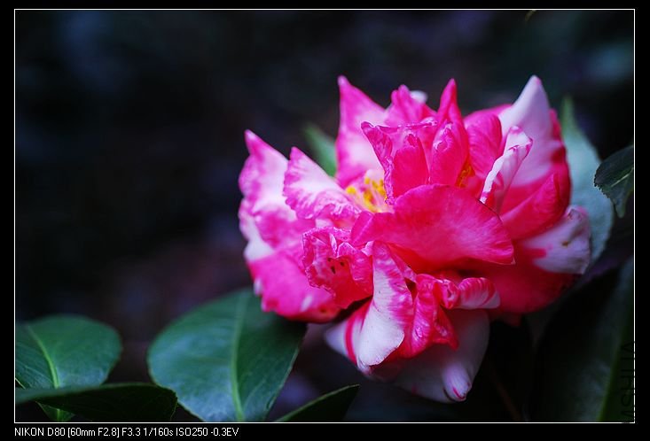 nEO_IMG_DSC_0136.jpg