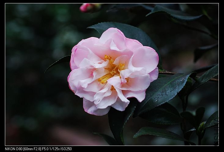 nEO_IMG_DSC_0125.jpg
