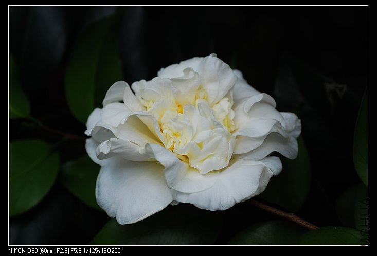 nEO_IMG_DSC_0129.jpg