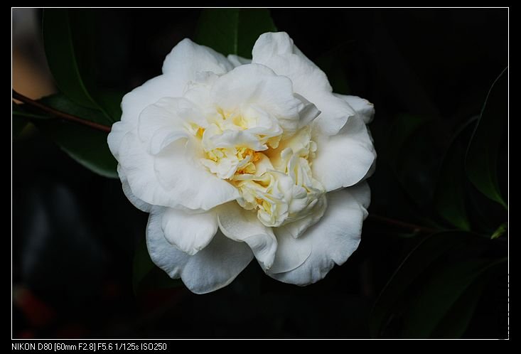 nEO_IMG_DSC_0128.jpg