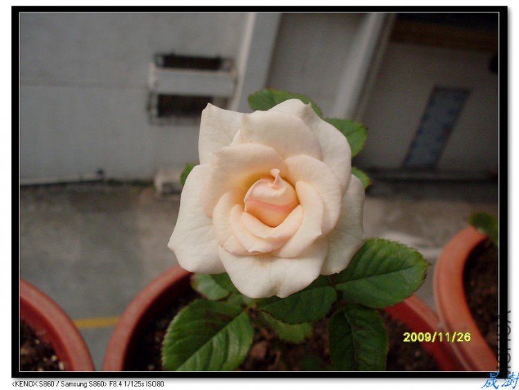 SDC12613_nEO_IMG.jpg