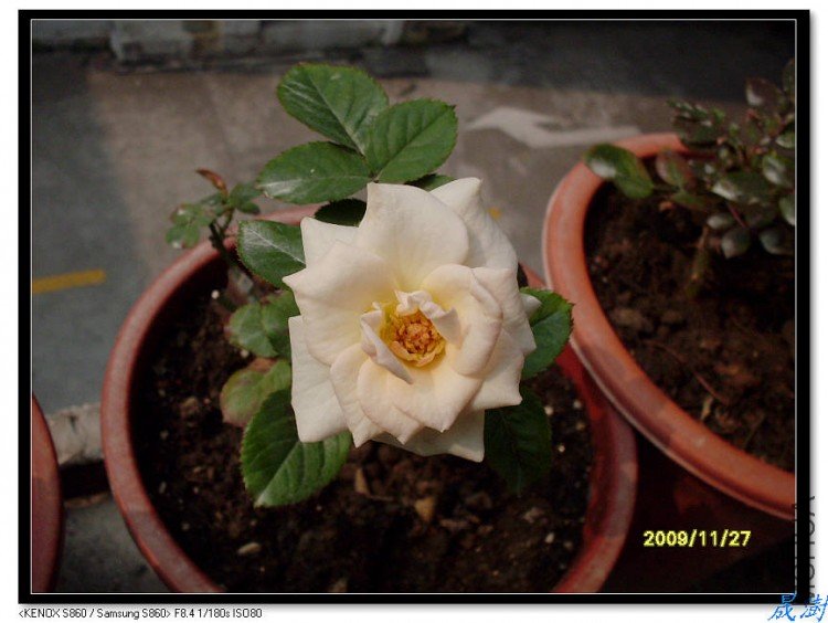 SDC12628_nEO_IMG.jpg