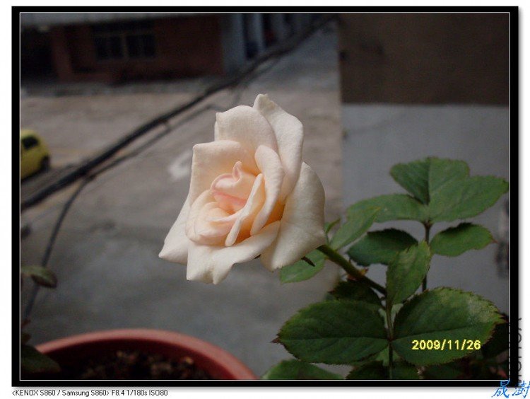 SDC12616_nEO_IMG.jpg