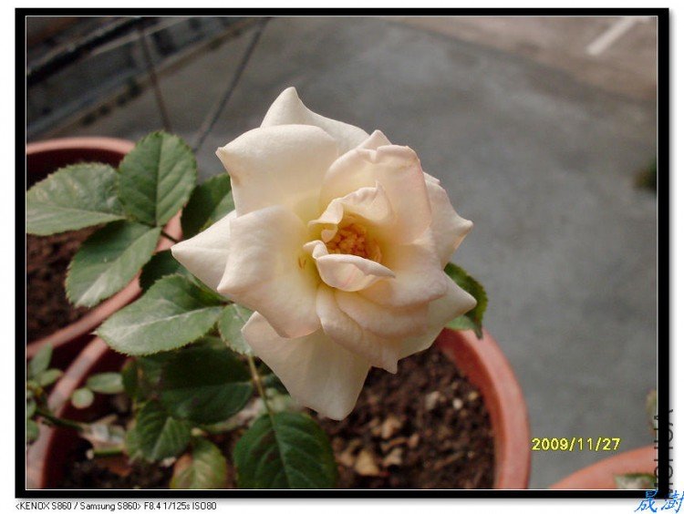 SDC12634_nEO_IMG.jpg