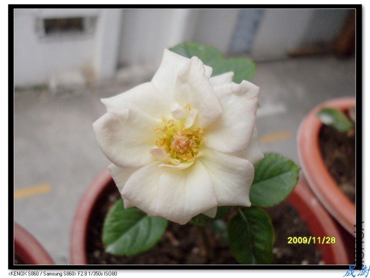 SDC12679_nEO_IMG.jpg