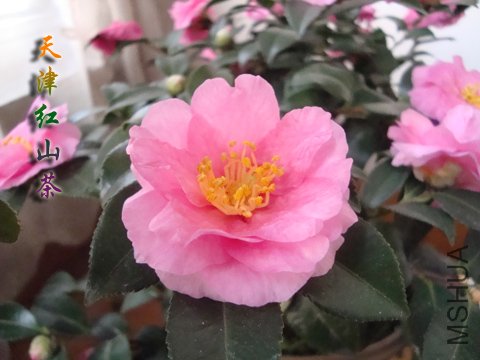 09��÷06.jpg