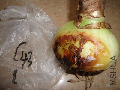 ���İ� ����ϲ����