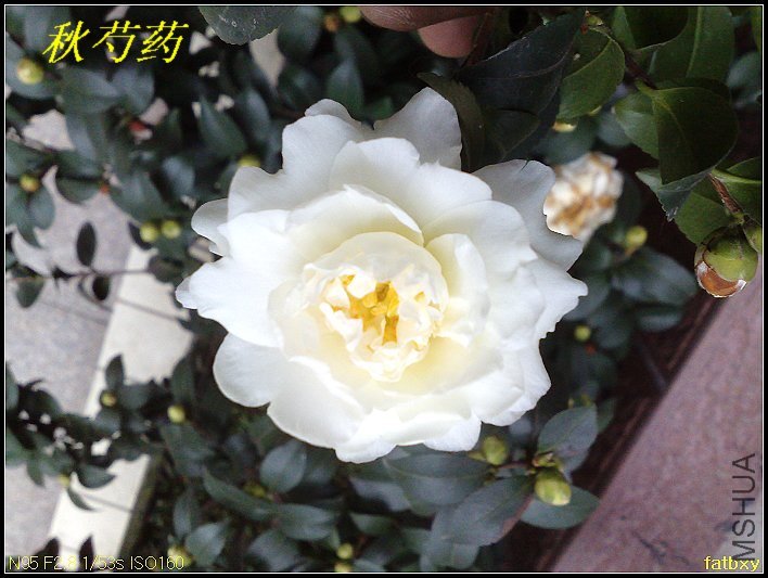 09����ҩ1.jpg