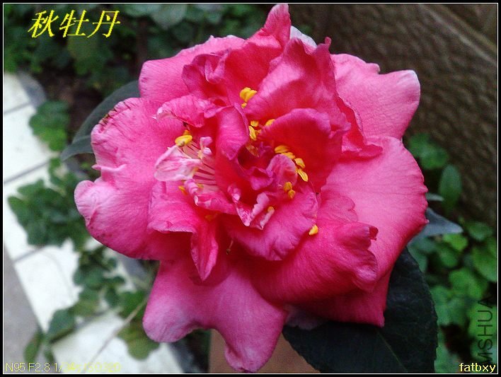 09��ĵ��.jpg